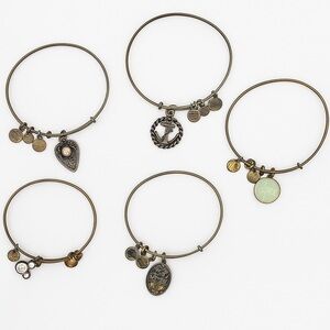 5 Alex & Ani bracelets Charm Bracelet Disney Charm jewelry Charms Jewelry Making